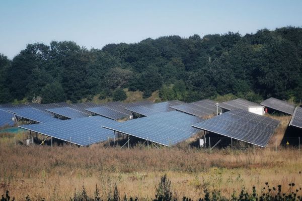 Solar Farming